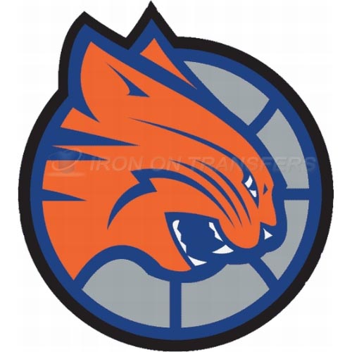Charlotte Bobcats Iron-on Stickers (Heat Transfers)NO.927